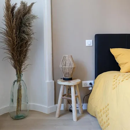 Mla Homes - Cocoon Foller Nancy